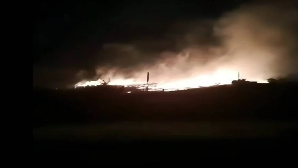 Elazığ’da Korku Dolu Anlar: Orman Yangını Paniği!