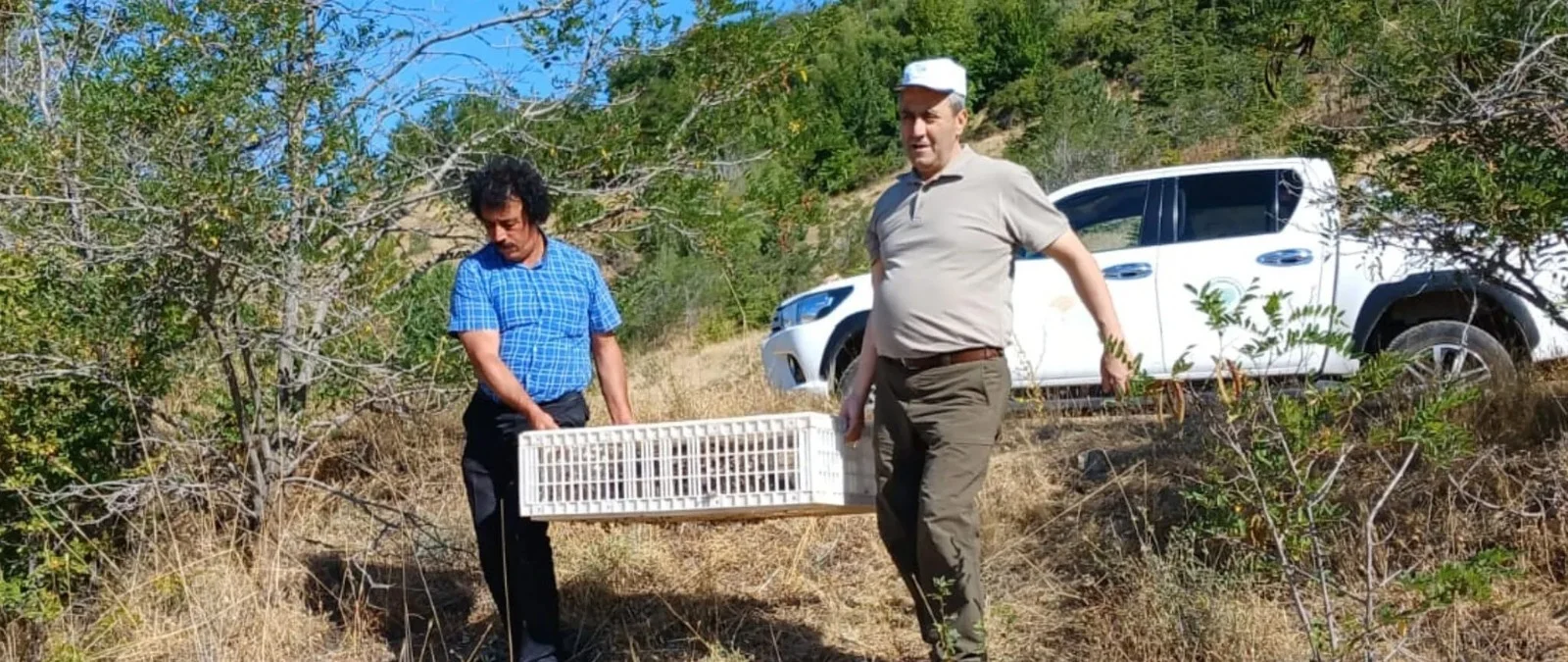 Elazığ’da Doğaya Keklik Salımı Gerçekleştirildi, Alan 3 Yıl Boyunca Ava Kapatıldı