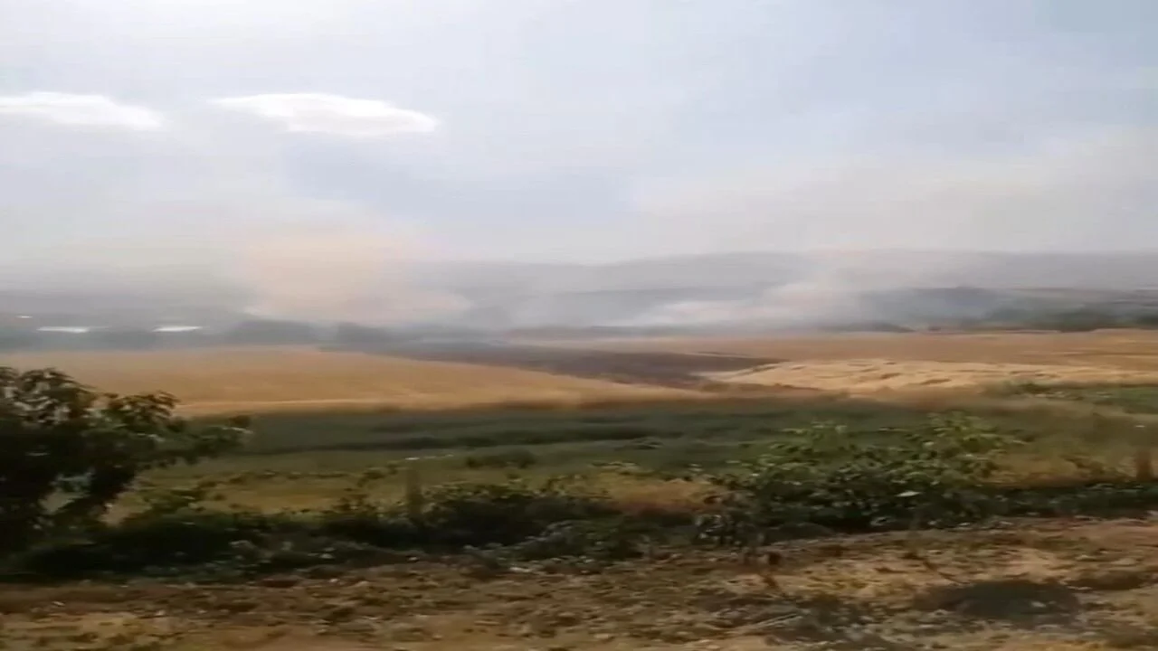 Elazığ Tadım Köyü’nde Korkutan Otluk Yangını