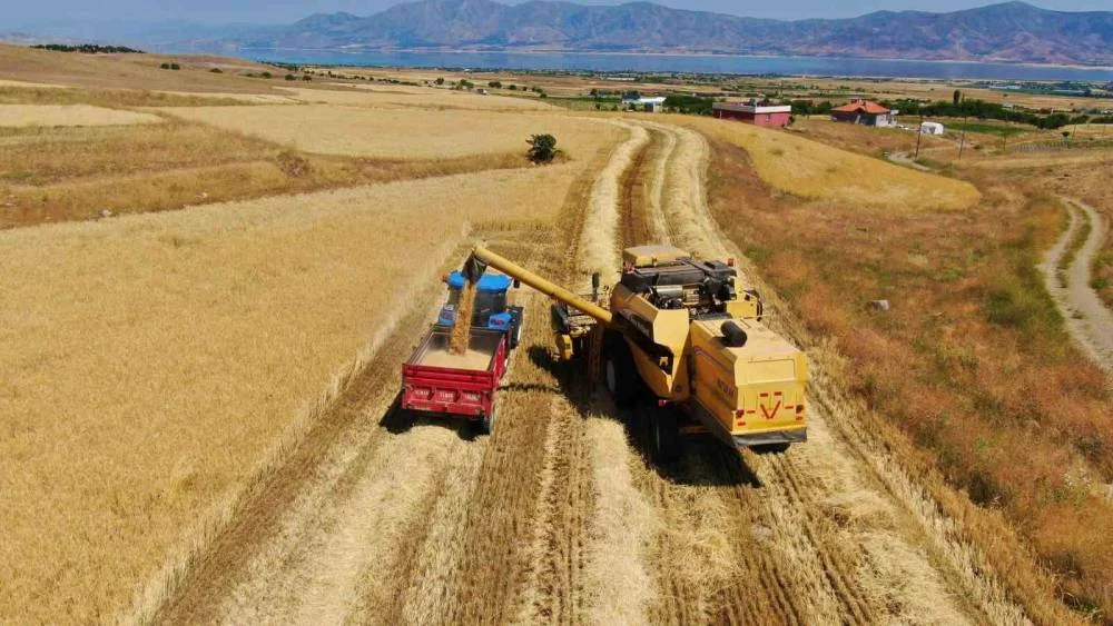 Elazığ’da Verimli Hasat Beklentisi: 900 Bin Dekarlık Alan Biçilmeye Hazır!