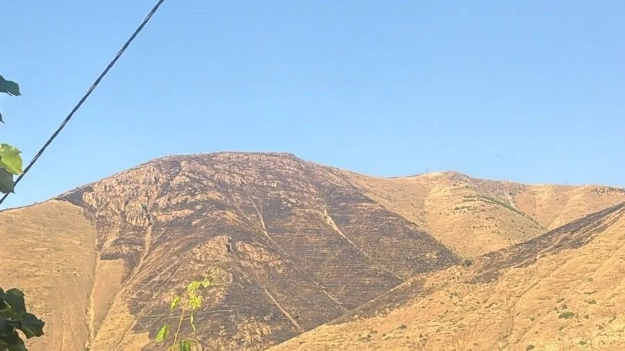 Elazığ’da Korkutan Yangın: Nimri Dağı’nda 100 Dönüm Kül Oldu