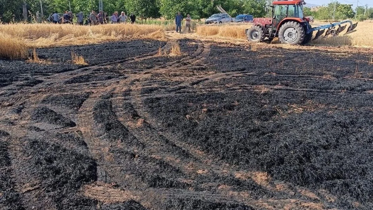 Elazığ’da Tarla Yangını Paniği: Ekipler Zamanında Müdahale Etti