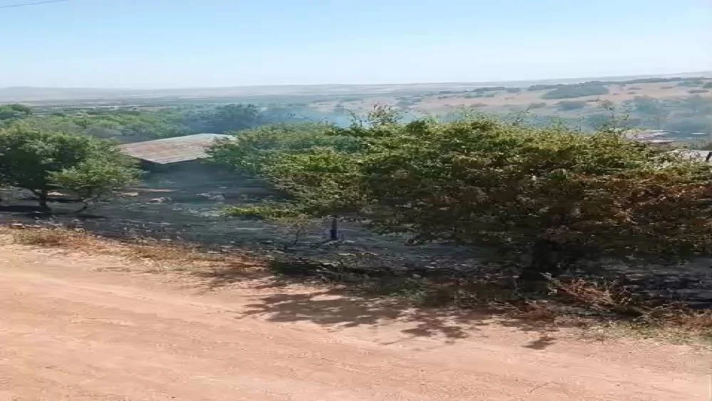 Elazığ Çalıca Köyünde Yangın Tehlikesi: İtfaiye Alevleri Kontrol Altına Aldı