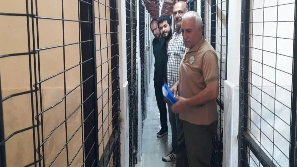 Elazığ’daki Hayvan Bakımevi Denetimden Tam Not Aldı
