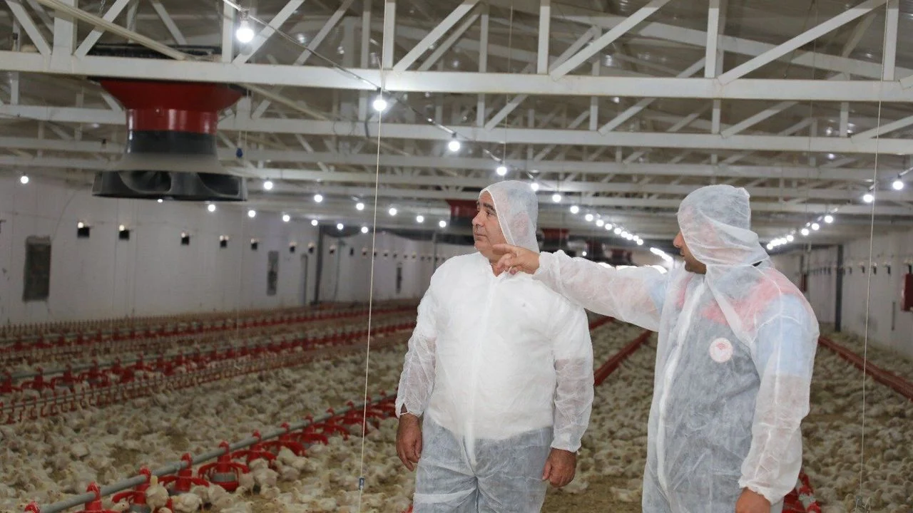 Elazığ’da Kanatlı Üretiminde Kapasite Artışı: 5 Milyon TL’lik Yatırım