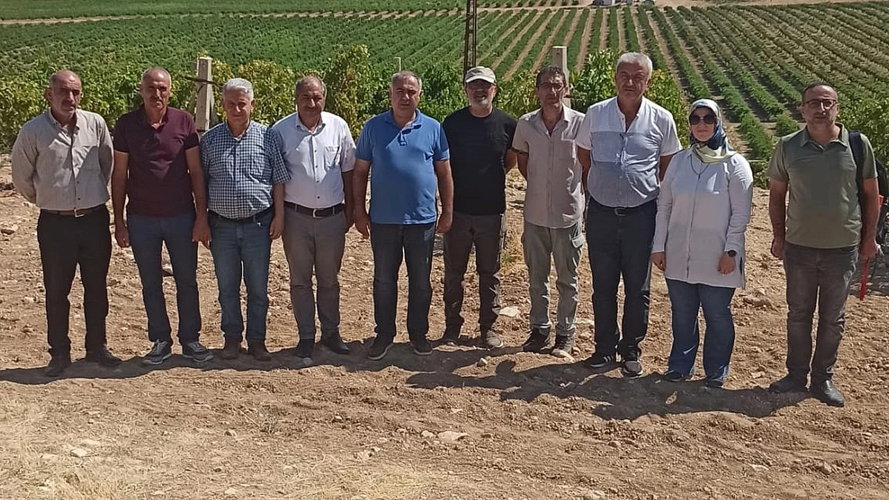 İl Müdürü Taşkesen Çatalharman Köyü’nde Üretim Alanlarını İnceledi