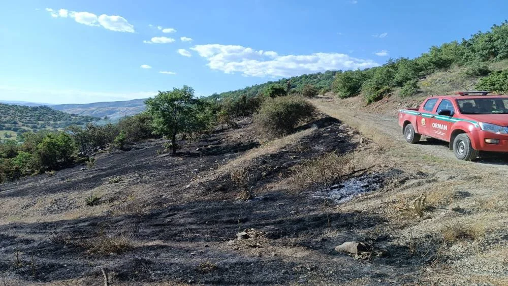 Elazığ’da Çıkan Yangın Büyük Korku Yarattı!