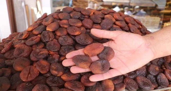 Elazığ’da Kayısısı Olanlar Dikkat! Fiyat Belirlendi